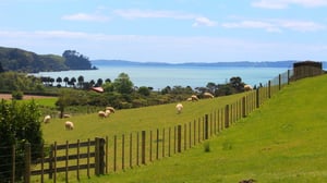 トップ10オークランドパーク