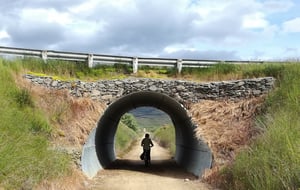 Mejores 4 Senderos para Bicicletas en Otago