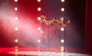 Top 5 Christchurch Festivals