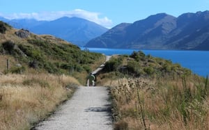 Mejores paseos cortos en Wanaka