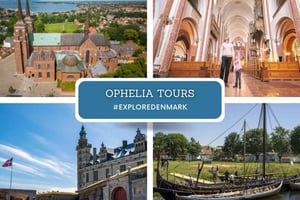 Kokopäiväretki; linna, palatsi, katedraali ja viikinkilaivat