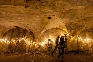 Copenhague : visite du château de Kronborg en anglais