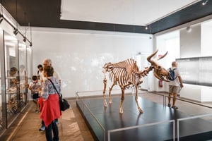 København: Inngangsbillett til Danmarks Nationalmuseum