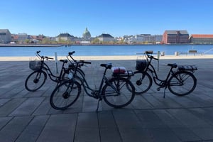 E-Bike-tur: Juläventyr i Köpenhamn
