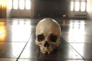 Łatwa wycieczka po zamku Kronbog i pałacu Frederiksborg W