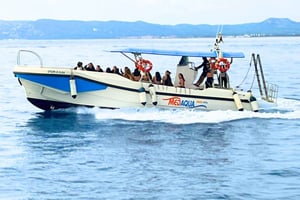 Guided Boat Tour to Medes Islands & Roca Foradada with Swim
