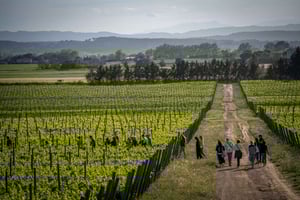 Pals: Visita à adega Mas Geli com prova de vinhos