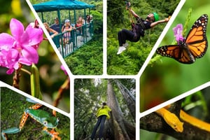 6 i 1 tur heldagspass Braulio Carrillo