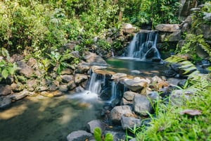 Dzień pełen przygód: Arenal 1968 i źródła