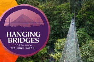 Arenal National Park: Hanging Bridges Small Group Tour