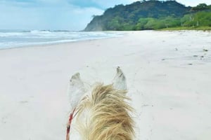 Barigona Beach: Horseback Ride, Picnic, and Swim