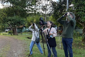 Barú: Vogelbeobachtungstour mit einem zertifizierten Reiseleiter.