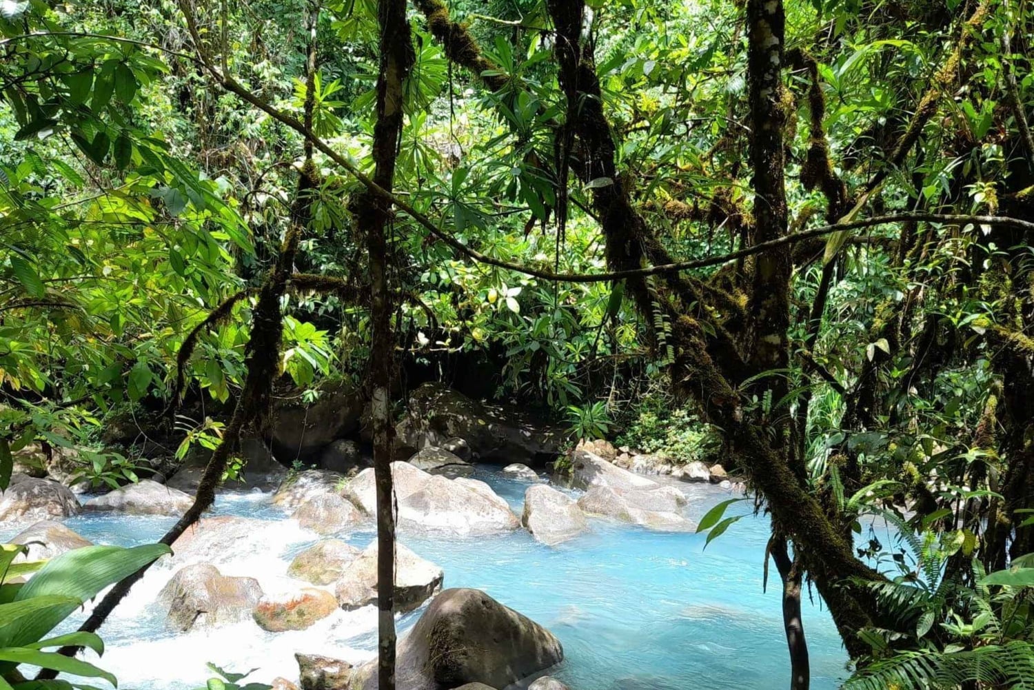 Bijagua: selva y baño en el río desde hoteles de Guanacaste