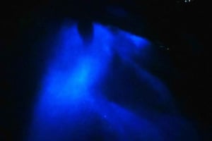 Visite nocturne avec masque et tuba à partir de la plage de Pochote