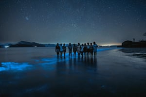 Биолюминесцентный тур; Скоростной катер, Кемпинг (из Сан-Хосе)