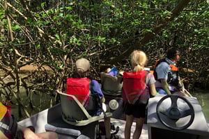 Båtexpedition: Safari med apa och mangrove