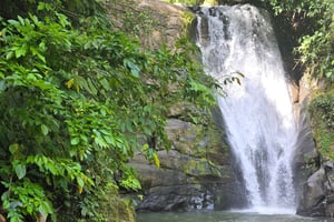 カウイタ：国立公園での壮大なハイキングとタラマンカの滝をご堪能ください