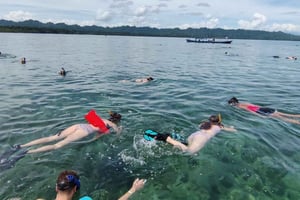 Cahuita National Park: Schnorcheln