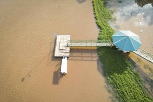 カニョ・ネグロ：野生動物発見ツアー