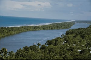 Тур на каноэ в национальном парке Тортугеро *ЛУЧШИЙ В ГОРОДЕ*