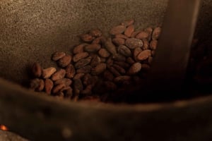 PV & Cahuita: Sjokoladetur Bri Bri Village & Waterfalltour