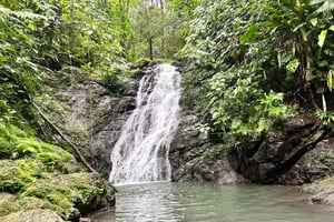 Corcovado Sunrise Tour by Los Planes Ranger Station