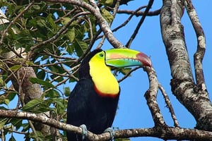 Visite guidée de la réserve de Curicancha
