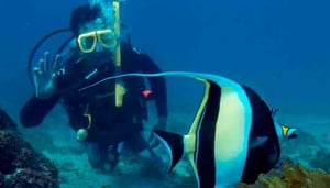 Deep Blue Diving Adventures