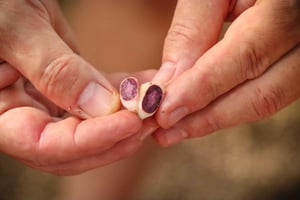 Diamante Eco Adventure Park: Costa Rican Cultural Experience