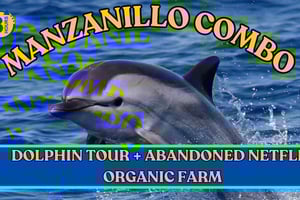 Dolphin Watching & Netflix Featured Organic Jungle Farm Tour