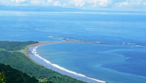 Dominical Real Estate