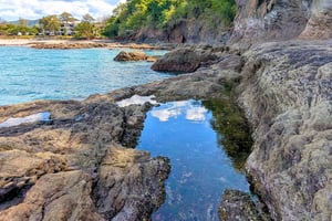 Flamingo/Danta: exploración intermareal y esnórquel