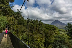 From La Fortuna: Mistico Arenal Hanging Bridges Park Tour