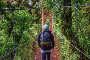 Desde La Fortuna: Traslado compartido de ida a Monteverde