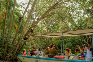 Manuel Antonio: Damas Island Mangrove Boat Tour with Lunch