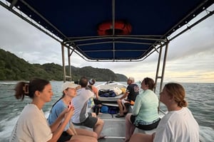 Depuis Playa Pochote : Visite privée de l'île de Tortuga