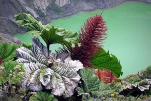 From San Jose: Irazu Volcano Crater Hike and Cartago Trip