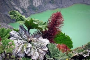 Fra San Jose: Vandring i Irazu-vulkankrateret og Cartago-utflukt