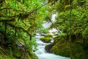 From San Jose: La Paz Waterfall Garden & Rainforest Tour