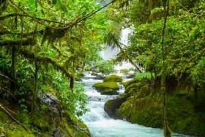 Fra San Jose: La Paz Waterfall Garden & Rainforest Tour