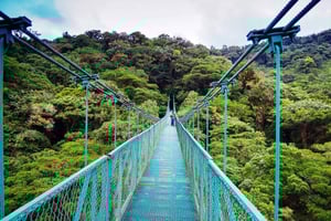 From San José: Monteverde Hanging Bridges Day Trip
