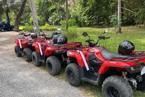 From Tambor: ATV and Zipline Tour with Waterfall Swim