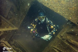 Golfito, Costa Rica: incredibili escursioni di un giorno con immersioni su relitti e/o barriera corallina