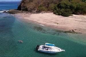 Guanacaste: Strandudforskningstur med lokal guide