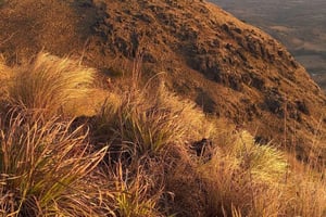 Guanacaste: Cerro Pelado Hike & La Piedra del Indio Tour