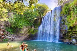 Guanacaste: Rainforest, Sloths, & Nature Day Trip with Lunch