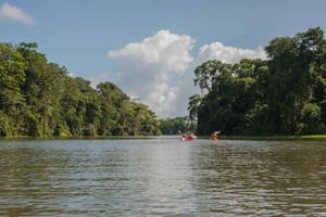 Guided Kayak Tour in Tortuguero National Park ***EXCITING***