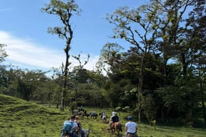 Tour a cavallo a Quepos con trasferimento e pranzo
