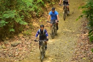 Jaco Beach: Jungle and Waterfalls Mountain Bike Tour