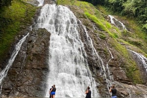 Jaco: Jungle Booze Cruise